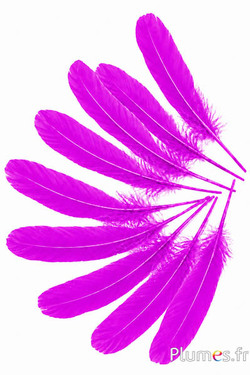 Gans - 15-21 cm - fuchsia